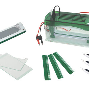 Électrophorèse Verticale Rapide SSR YR03430
