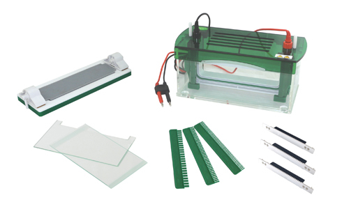 Électrophorèse Verticale Rapide SSR YR03430