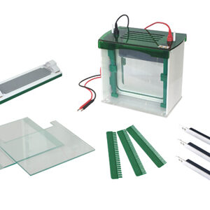 Cuve D'électrophorèse Verticale Rapide SSR YR03431