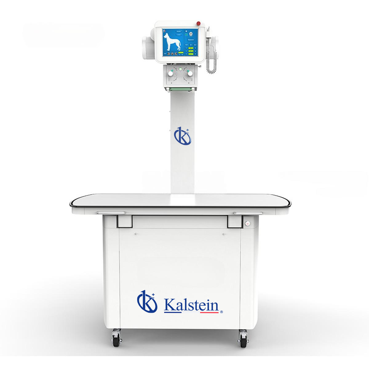 Machine à Rayons X Numérique Vétérinaire de 400mA YR06164